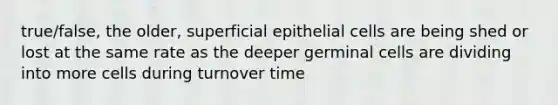 true/false, the older, superficial epithelial cells are being shed or lost at the same rate as the deeper germinal cells are dividing into more cells during turnover time