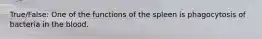 True/False: One of the functions of the spleen is phagocytosis of bacteria in the blood.