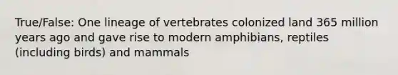 True/False: One lineage of vertebrates colonized land 365 million years ago and gave rise to modern amphibians, reptiles (including birds) and mammals