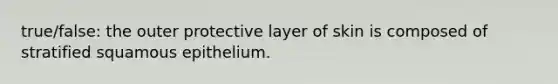 true/false: the outer protective layer of skin is composed of stratified squamous epithelium.