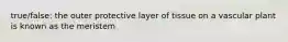 true/false: the outer protective layer of tissue on a vascular plant is known as the meristem