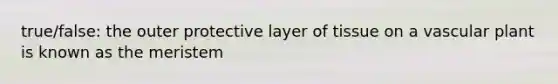 true/false: the outer protective layer of tissue on a vascular plant is known as the meristem