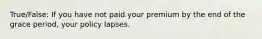 True/False: If you have not paid your premium by the end of the grace period, your policy lapses.