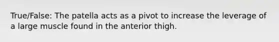 True/False: The patella acts as a pivot to increase the leverage of a large muscle found in the anterior thigh.