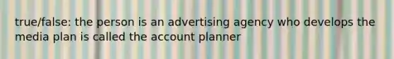 true/false: the person is an advertising agency who develops the media plan is called the account planner