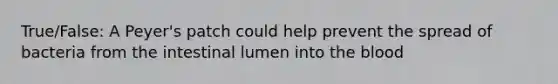 True/False: A Peyer's patch could help prevent the spread of bacteria from the intestinal lumen into <a href='https://www.questionai.com/knowledge/k7oXMfj7lk-the-blood' class='anchor-knowledge'>the blood</a>