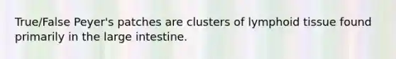 True/False Peyer's patches are clusters of lymphoid tissue found primarily in the <a href='https://www.questionai.com/knowledge/kGQjby07OK-large-intestine' class='anchor-knowledge'>large intestine</a>.