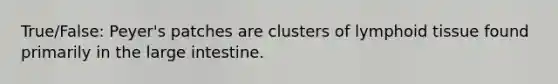 True/False: Peyer's patches are clusters of lymphoid tissue found primarily in the large intestine.