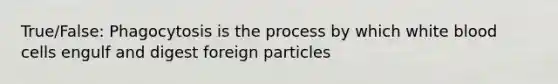 True/False: Phagocytosis is the process by which white blood cells engulf and digest foreign particles