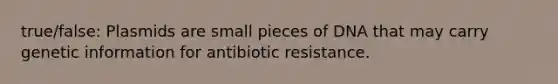 true/false: Plasmids are small pieces of DNA that may carry genetic information for antibiotic resistance.