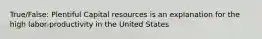 True/False: Plentiful Capital resources is an explanation for the high labor-productivity in the United States