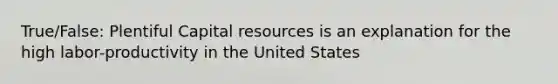 True/False: Plentiful Capital resources is an explanation for the high labor-productivity in the United States