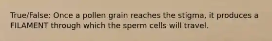 True/False: Once a pollen grain reaches the stigma, it produces a FILAMENT through which the sperm cells will travel.