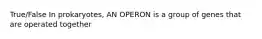 True/False In prokaryotes, AN OPERON is a group of genes that are operated together