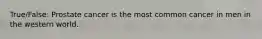 True/False: Prostate cancer is the most common cancer in men in the western world.