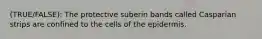 (TRUE/FALSE): The protective suberin bands called Casparian strips are confined to the cells of the epidermis.