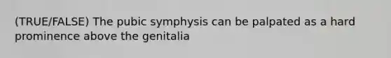 (TRUE/FALSE) The pubic symphysis can be palpated as a hard prominence above the genitalia