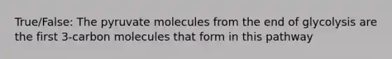 True/False: The pyruvate molecules from the end of glycolysis are the first 3-carbon molecules that form in this pathway