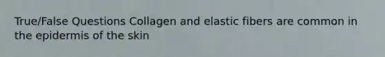 True/False Questions Collagen and elastic fibers are common in <a href='https://www.questionai.com/knowledge/kBFgQMpq6s-the-epidermis' class='anchor-knowledge'>the epidermis</a> of the skin