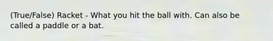 (True/False) Racket - What you hit the ball with. Can also be called a paddle or a bat.