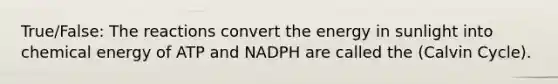 True/False: The reactions convert the energy in sunlight into chemical energy of ATP and NADPH are called the (Calvin Cycle).