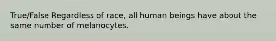 True/False Regardless of race, all human beings have about the same number of melanocytes.