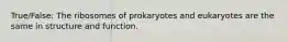 True/False: The ribosomes of prokaryotes and eukaryotes are the same in structure and function.