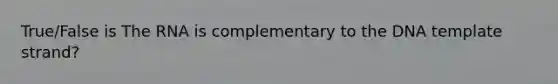 True/False is The RNA is complementary to the DNA template strand?