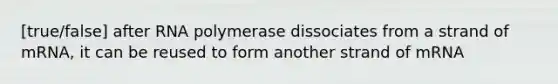 [true/false] after RNA polymerase dissociates from a strand of mRNA, it can be reused to form another strand of mRNA