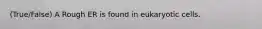 (True/False) A Rough ER is found in eukaryotic cells.