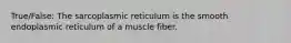 True/False: The sarcoplasmic reticulum is the smooth endoplasmic reticulum of a muscle fiber.