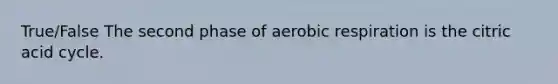 True/False The second phase of <a href='https://www.questionai.com/knowledge/kyxGdbadrV-aerobic-respiration' class='anchor-knowledge'>aerobic respiration</a> is the citric acid cycle.