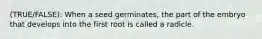 (TRUE/FALSE): When a seed germinates, the part of the embryo that develops into the first root is called a radicle.