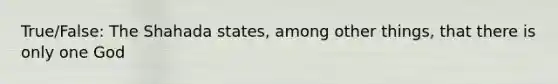 True/False: The Shahada states, among other things, that there is only one God