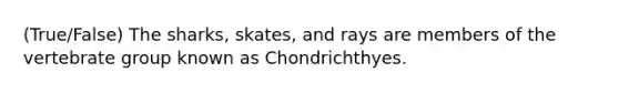 (True/False) The sharks, skates, and rays are members of the vertebrate group known as Chondrichthyes.