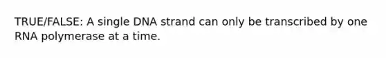 TRUE/FALSE: A single DNA strand can only be transcribed by one RNA polymerase at a time.