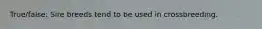 True/false: Sire breeds tend to be used in crossbreeding.