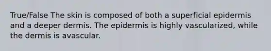 True/False The skin is composed of both a superficial epidermis and a deeper dermis. <a href='https://www.questionai.com/knowledge/kBFgQMpq6s-the-epidermis' class='anchor-knowledge'>the epidermis</a> is highly vascularized, while <a href='https://www.questionai.com/knowledge/kEsXbG6AwS-the-dermis' class='anchor-knowledge'>the dermis</a> is avascular.