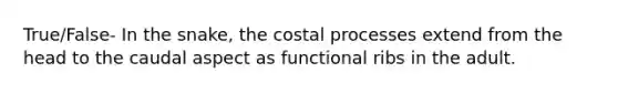 True/False- In the snake, the costal processes extend from the head to the caudal aspect as functional ribs in the adult.