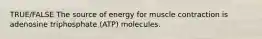 TRUE/FALSE The source of energy for muscle contraction is adenosine triphosphate (ATP) molecules.