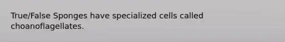 True/False Sponges have specialized cells called choanoflagellates.