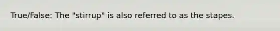 True/False: The "stirrup" is also referred to as the stapes.