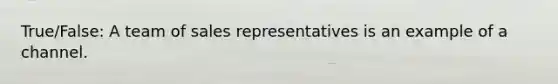 True/False: A team of sales representatives is an example of a channel.