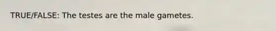 TRUE/FALSE: The testes are the male gametes.