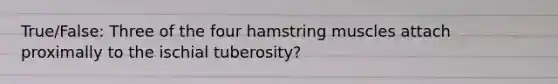 True/False: Three of the four hamstring muscles attach proximally to the ischial tuberosity?