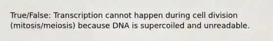 True/False: Transcription cannot happen during cell division (mitosis/meiosis) because DNA is supercoiled and unreadable.