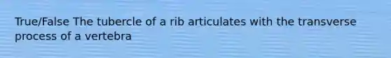 True/False The tubercle of a rib articulates with the transverse process of a vertebra