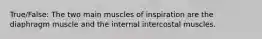 True/False: The two main muscles of inspiration are the diaphragm muscle and the internal intercostal muscles.