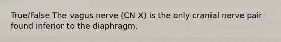 True/False The vagus nerve (CN X) is the only cranial nerve pair found inferior to the diaphragm.