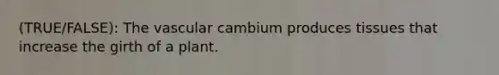 (TRUE/FALSE): The vascular cambium produces tissues that increase the girth of a plant.